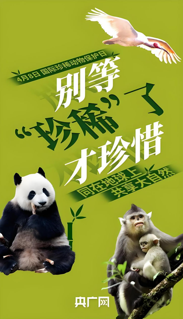 蜜桃种植技巧
